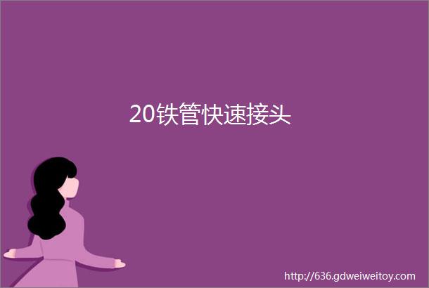 20铁管快速接头